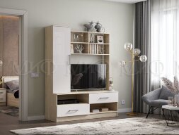 Гостиная Мартина центральная секция